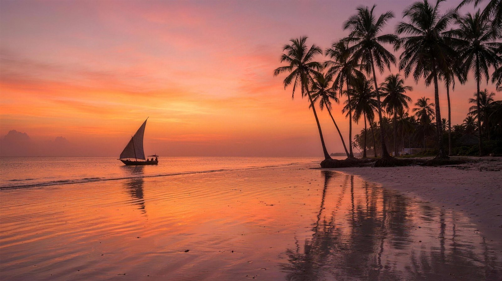 Honeymoon safari and Zanzibar beach