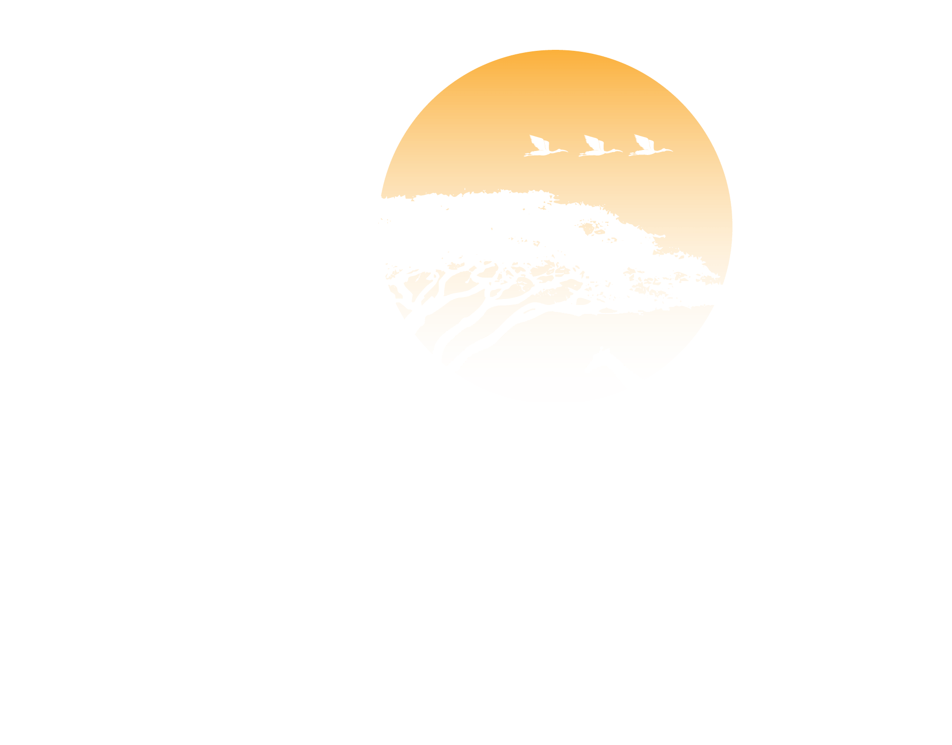GOLDEN-KIT-OFFICIAL-WHITE